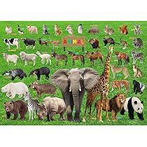 91CKUTHNJ6L._AC_UL210_SR210,