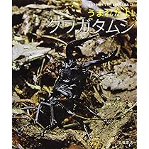 Amazon.co.jp: よみきかせ いきものしゃしんえほん (23) うまれたよ Amazon.co.jp: よみきかせ いきものしゃしんえほん (23) うまれたよ