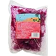 モカ・フード 楽園ドラゴンフルーツ(レッド) 500g×20入