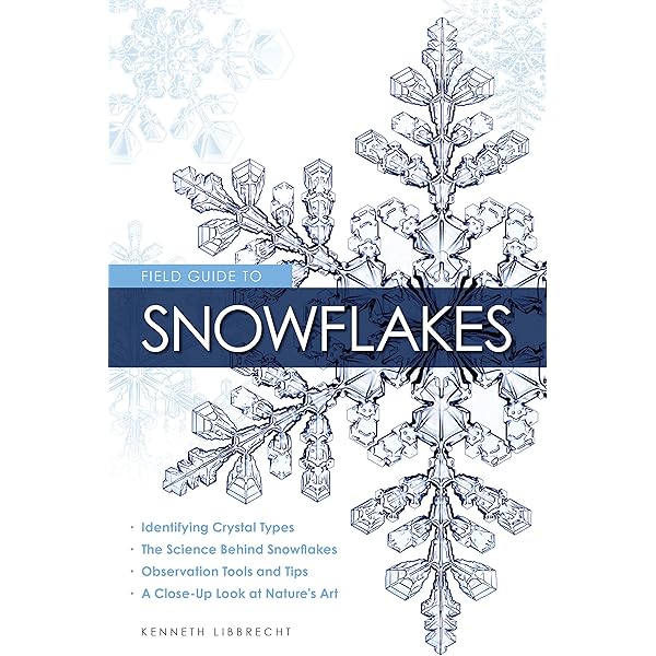 The Art of the flake: 雪の結晶・フォトアルバム The Art of the Snowflake: 雪の結晶・フォトアルバム - メルカリ