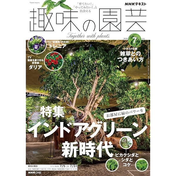 Amazon.co.jp: NHK趣味の園芸 観葉植物 パーフェクトブック eBook
