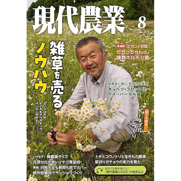 現代農業 90年代 そのぞれ農業 農家はもっと減っていい 農業の「常識」はウソだらけ (光文社