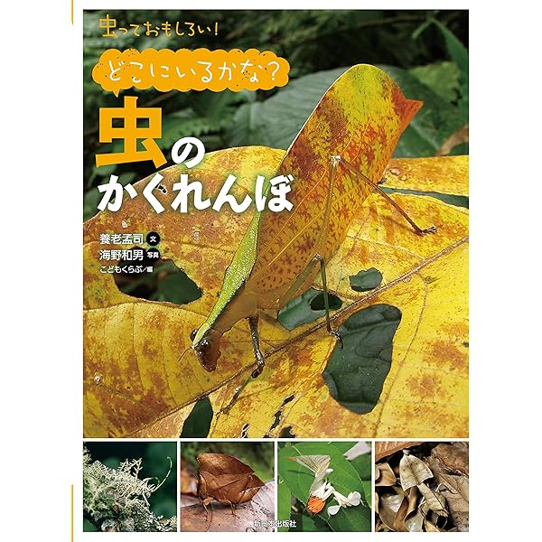 さがしてみよう! 虫のかくれんぼ (虫っておもしろい) | 養老孟司