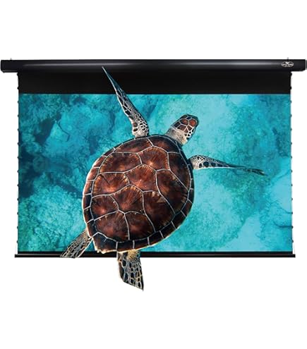 Amazon | プロジェクター 長焦点 84インチ VIVIDSTORM SINCE2004