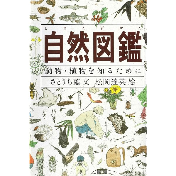 自然観察ハンドブック (フィールドガイドシリーズ 1) | 日本自然保護