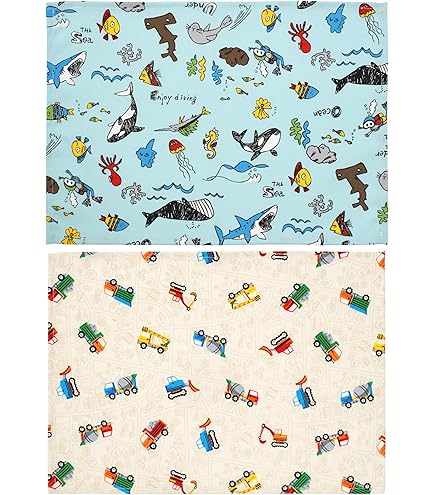 Amazon.co.jp: 蒼天航路 表紙絵原画 一点のみ : ホーム＆キッチン