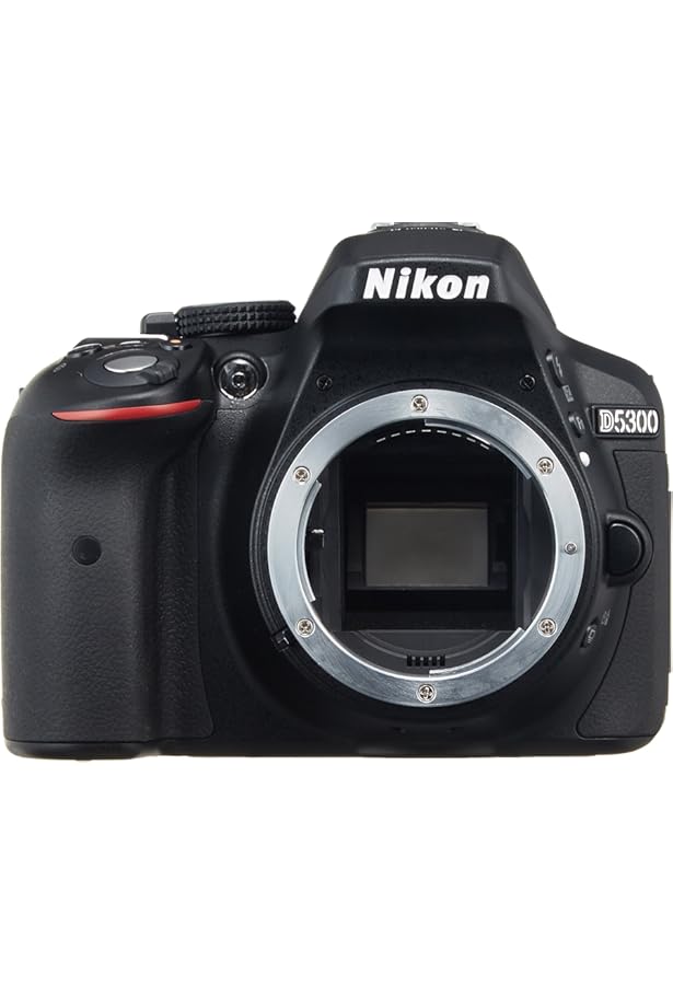 Amazon.co.jp: 今すぐ使えるかんたんmini NikonD5300基本&応用 撮影