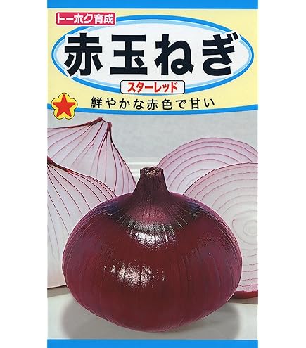 Amazon.co.jp: 赤タマネギ 種子 甲高ルージュ 180粒 まきやすい