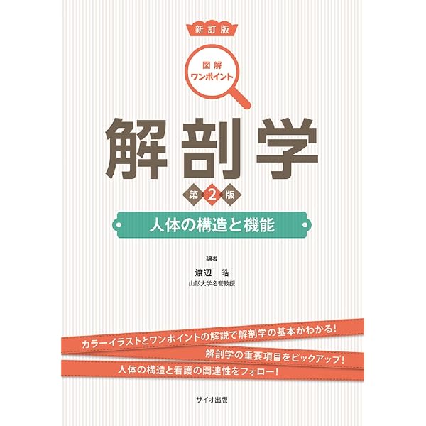 Amazon.co.jp: 図解ワンポイント生理学 第2版 : 片野 由美: 本