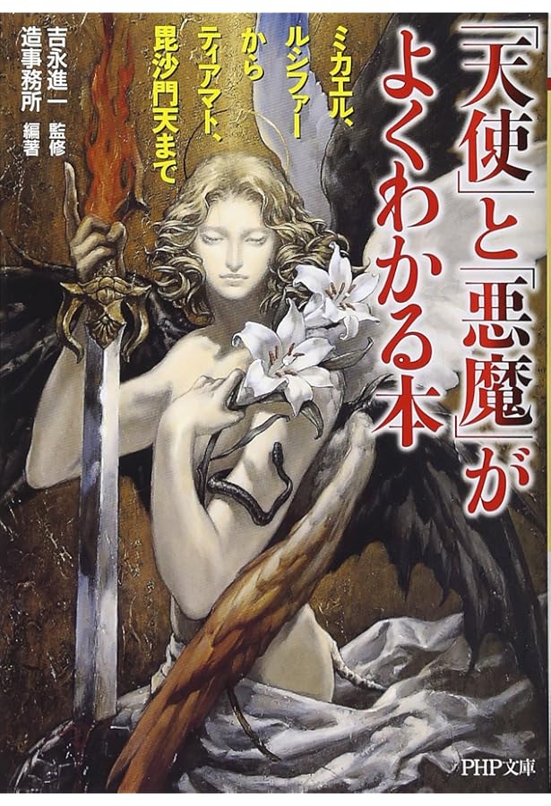 天使と悪魔 (MdN新書) | 吉永進一, 造事務所 |本 | 通販 | Amazon