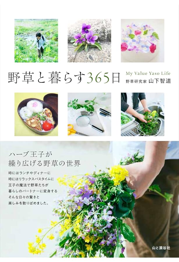 かんたん! ちょっとスペシャル! ハーブ研究家・山下智道のソロキャンプ