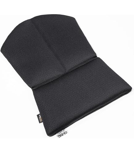 Amazon | CLINGAIRバケットシートクッション for RECARO RMS用 背面(厚