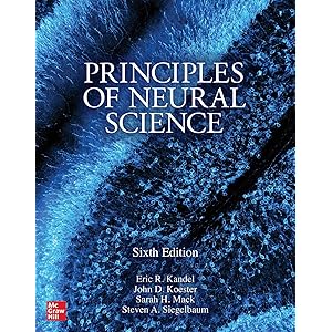Principles of Neural Science