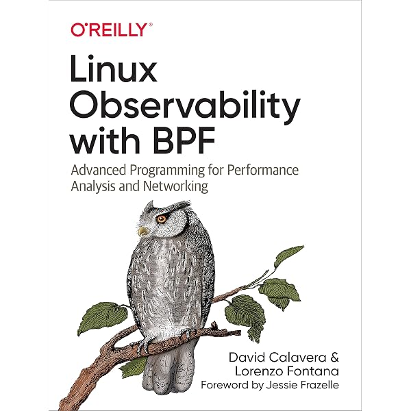 Amazon | BPF Performance Tools (Addison-Wesley Professional