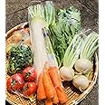 産直！旬の野菜セット　新鮮　おまかせ野菜