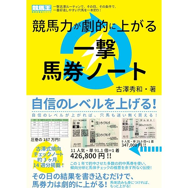 91ER1CVSxmL._AC_UL600_SR600,
