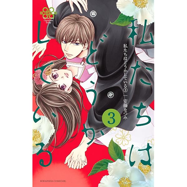 Amazon.co.jp: 私たちはどうかしている（1） (BE・LOVEコミックス