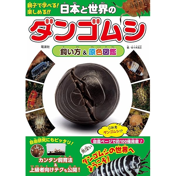 Amazon.co.jp: ダンゴムシの本 まるまる一冊だんごむしガイド