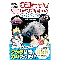朝だよ! 貝社員 爆笑! ! マジでめっちゃオモロイ 海のいきもの図鑑