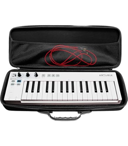 Amazon.co.jp: NATIVE INSTRUMENTS ネイティブインストゥル