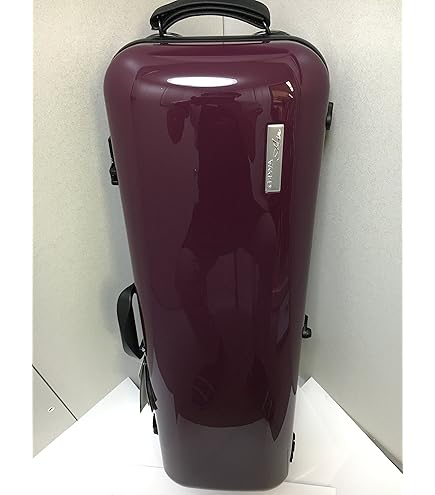 GEWA ドイツ製 バイオリン 4/4 安心角型軽量ハードケース オブロング Amazon | GEWA バイオリンケース PURE ピュア 角型 オブロング