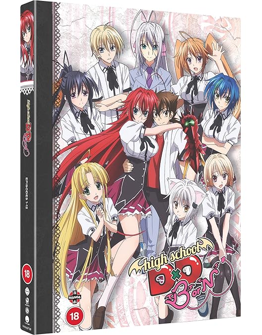 ハイスクールDxD 全12巻 81-OtyCCWZL._UF350,350_QL50_.jpg
