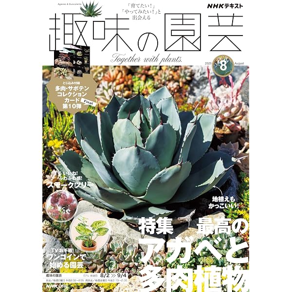 Amazon.co.jp: 多肉植物 NHK趣味の園芸12か月栽培ナビ(22) eBook