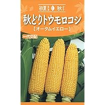 えだまめ Amazon | 株式会社トーホク 秋どりえだまめ 秋香り 04561 | 野菜
