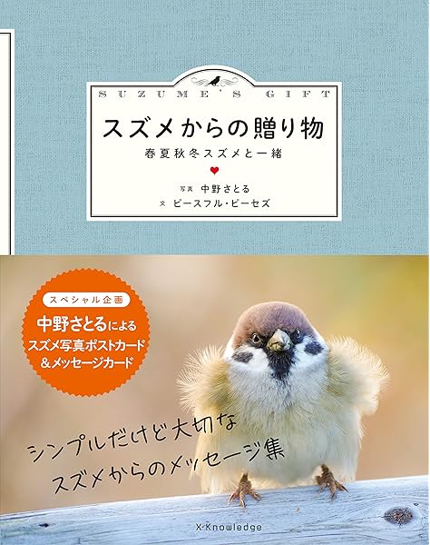 スズメからの贈り物 ピースフル ピーセズ ピースフル ピーセズ 中野さとる 本 通販 Amazon