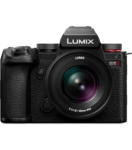 Amazon | パナソニック(Panasonic) 【カメラグランプリ2023 あなたが 