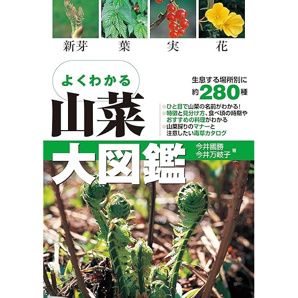 Amazon.co.jp: よくわかる山菜大図鑑: 新芽・葉・実・花 : 今井 國勝