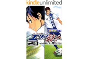 エリアの騎士【極！単行本シリーズ】20巻