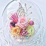 NEW ダイアナ welzo ウェルゾ オリジナル品 プリザーブドフラワー 薔薇３輪 ガラスドーム パステルMIX