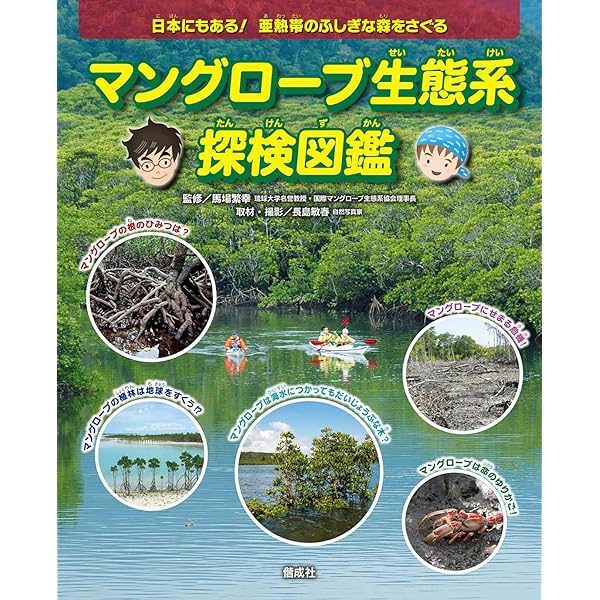 マングローブ入門: 海に生える緑の森 | 中村 武久, 中須賀 常雄 |本