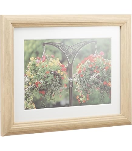 Amazon | FUJICOLOR 額縁 M13 全紙 木製 ブラウン 32064 | フォト