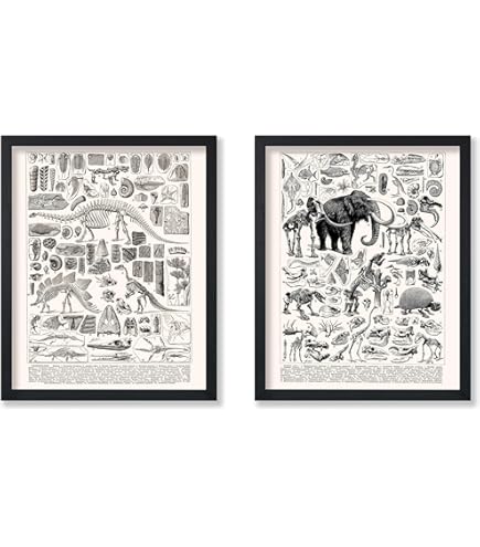 Amazon.co.jp: Buyartforless フレーム入り A Magical Mystery Tour of