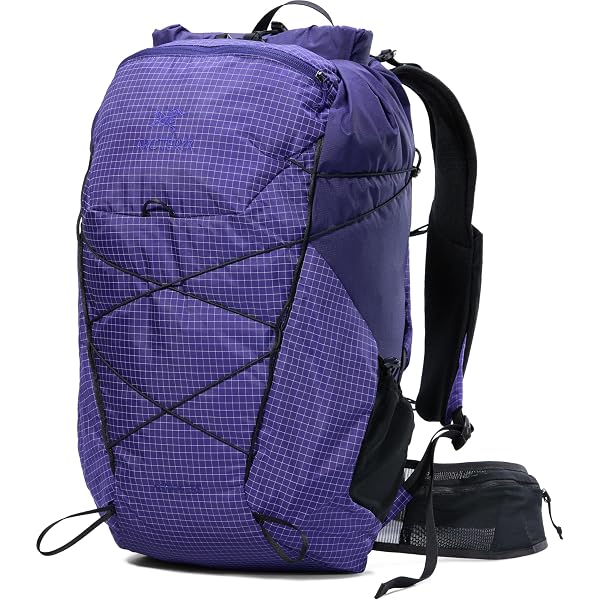 Amazon.co.jp: [アークテリクス] ARCTERYX エアリオス18バックパック