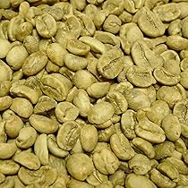 爆安!![コーヒー生豆】ホンジュラスHG 8kg ※送料無料 Amazon.co.jp: 生豆 コーヒー 豆 未焙煎 (ホンジュラス産