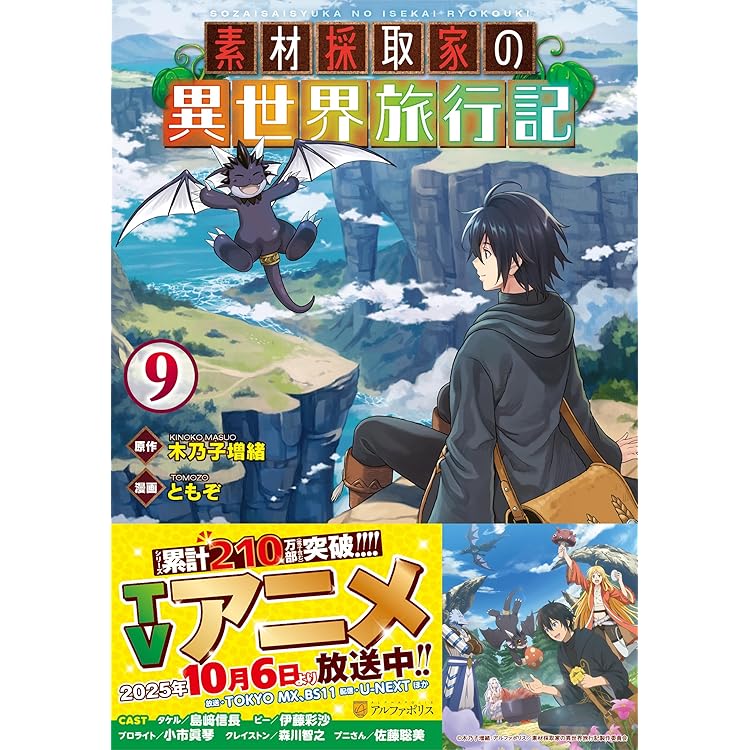 THE NEW GATE (17) (アルファポリスCOMICS) | 三輪ヨシユキ, 風波