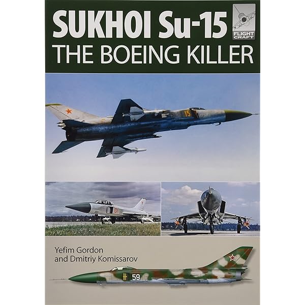Amazon | Mikoyan MiG-31: Defender of the Homeland (Flightcraft, 8