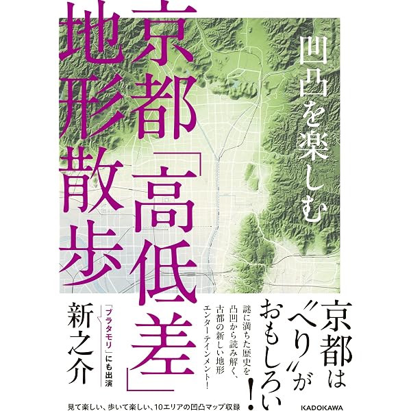 Amazon.co.jp: 凹凸を楽しむ 大阪「高低差」地形散歩 : 新之介: 本