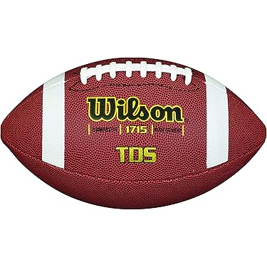 NFL ボール Wilson NFL Street Promo Football PS2 GameCube Xbox EA Sports