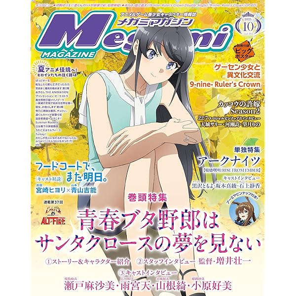 魔法少女リリカルなのは メモリアルビジュアルコレクション
