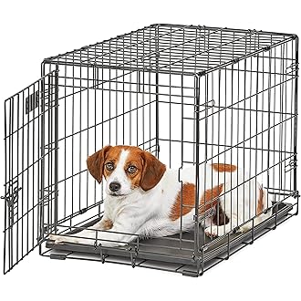 dog crates amazon