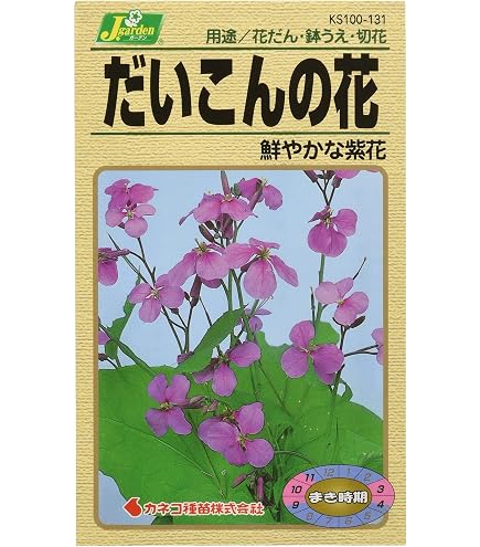 Amazon | タキイ種苗 紫花菜紫花菜 | 花