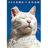 ネコ日本晴れ