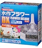 Amazon | 五色アクア メダカ飼育ケース 60リットル 黒