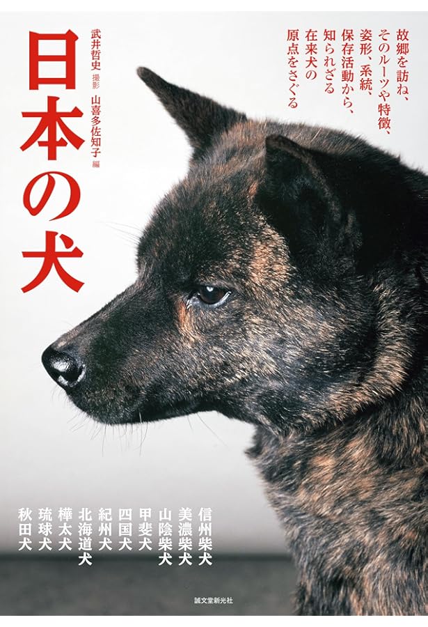 岩合光昭の日本犬図鑑 | 岩合光昭, 岩合光昭 |本 | 通販 | Amazon