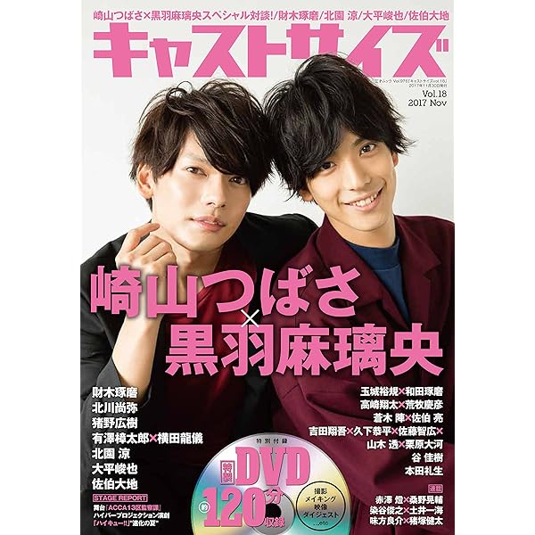 Amazon.co.jp: キャストサイズ vol.17 (三才ムックvol.954) : 本