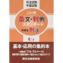新司法試験条文・判例本 平成22年版 4 新司法試験条文・判例本 平成22年版 4 【公式通販】